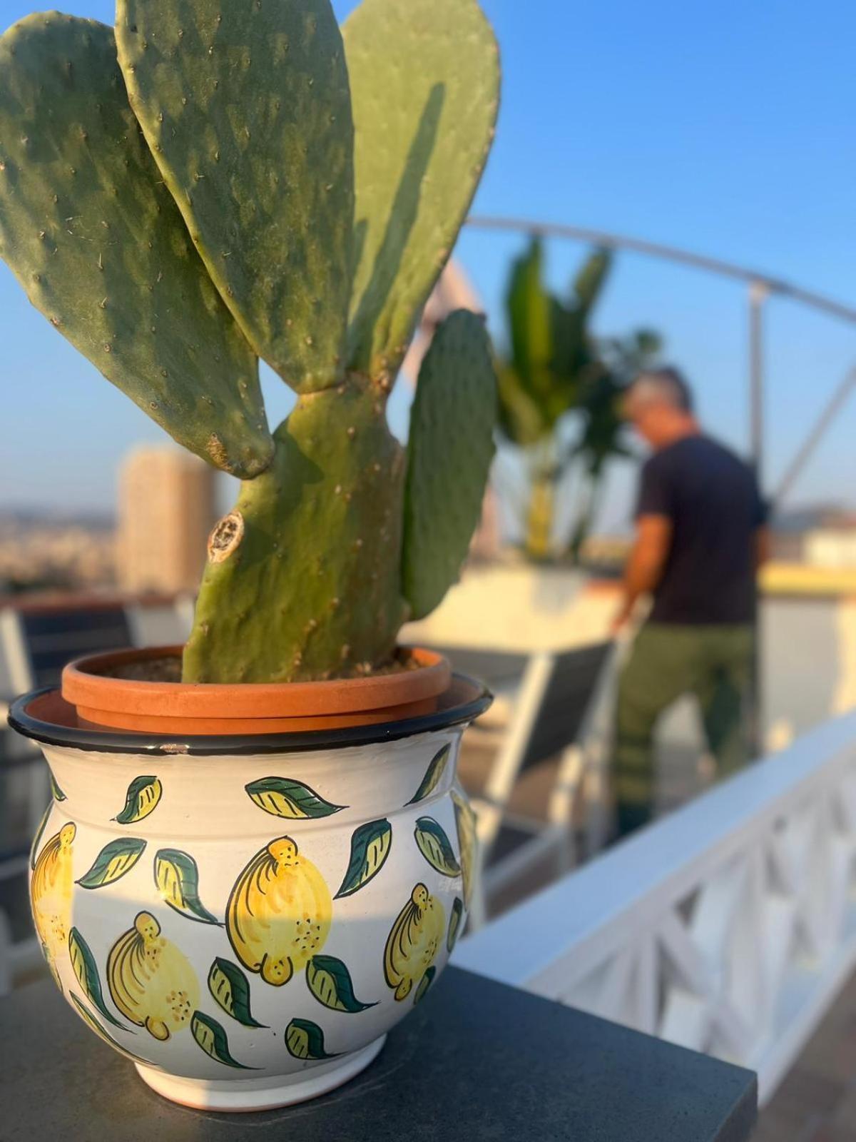 La Terrazza Sul Cielo *
